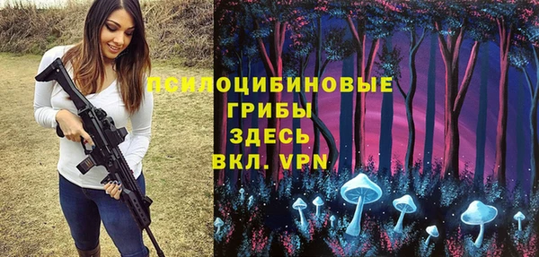 a pvp Алексеевка