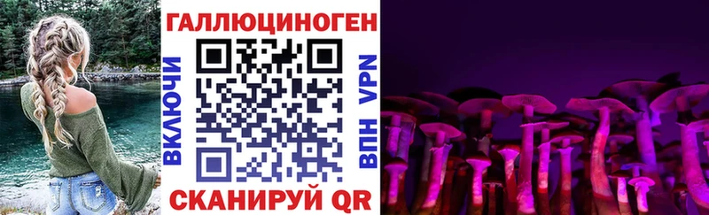 Псилоцибиновые грибы Cubensis  Старый Оскол 