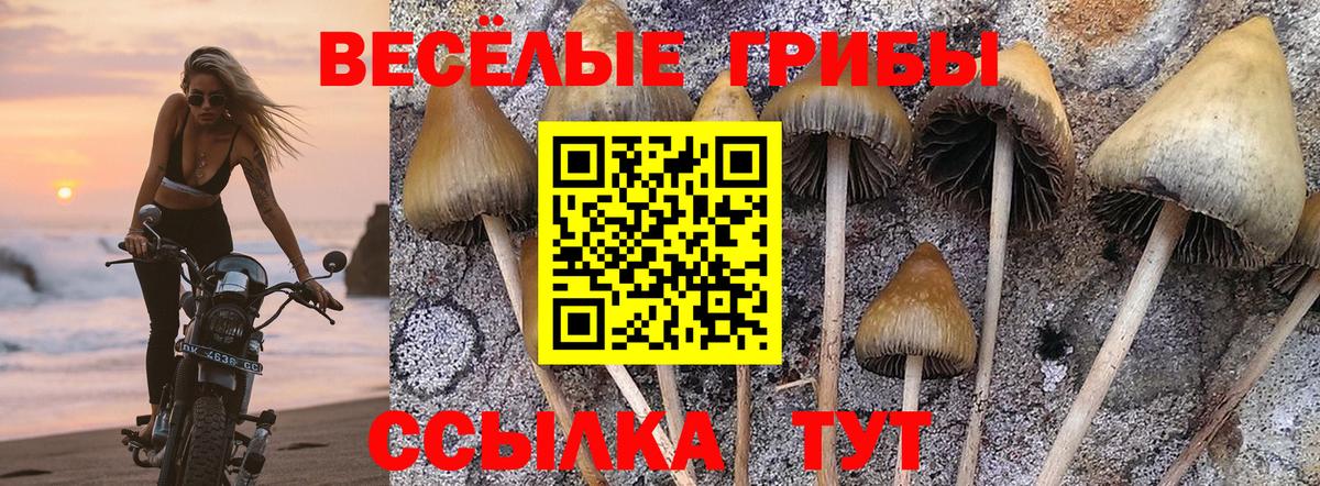 Галлюциногенные грибы мухоморы Старый Оскол