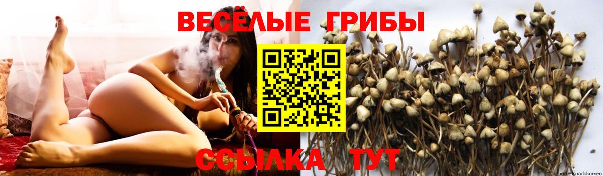 Старый Оскол  Псилоцибиновые грибы MAGIC MUSHROOMS  Галлюциногенные грибы Psilocybe  Вход с VPN 