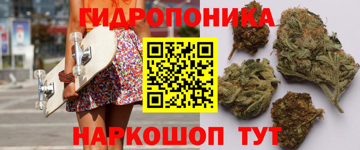 Бошки марихуана OG Kush  Каннабис семена  Каннабис VHQ  Старый Оскол  Вход с VPN 